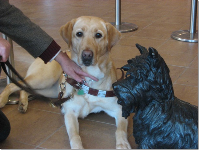 6a00d83451be5969e2010536a7b4ae970c[1]