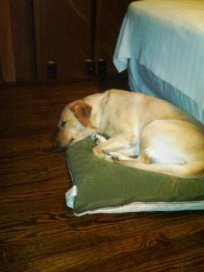 Nira on her bed Nira on her bed