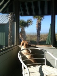 IMG00024-20100216-0931 IMG00024-20100216-0931