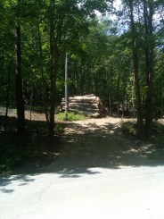 Felled trees in Vermont