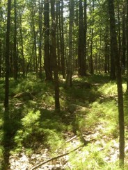 IMG00109-20100820-1520 IMG00109-20100820-1520