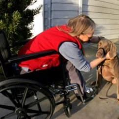 disabilities_250x251