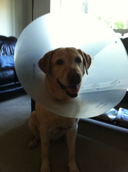 IMG_0587.jpg IMG 0587