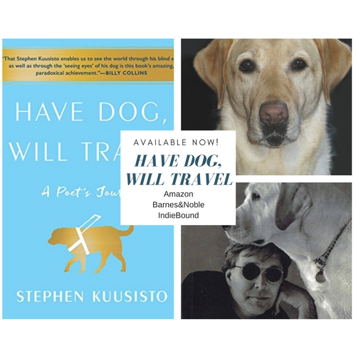 I was denied a cab ride because of my&nbsp;dog….