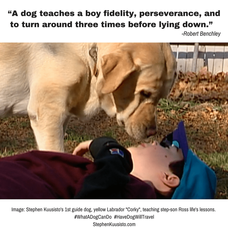 The Dog Who Loves You Stephen Kuusisto